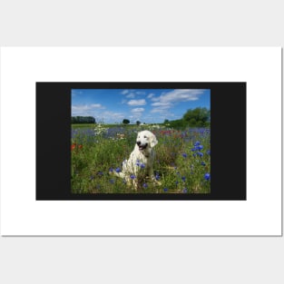 Ditte in a field of wild flowers Posters and Art